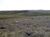 Image of landscape
