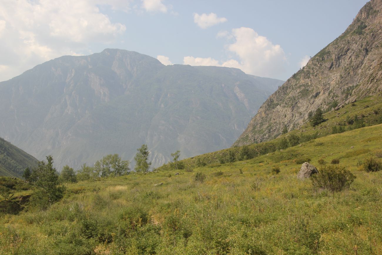 Окрестности ручья Артышту, image of landscape/habitat.