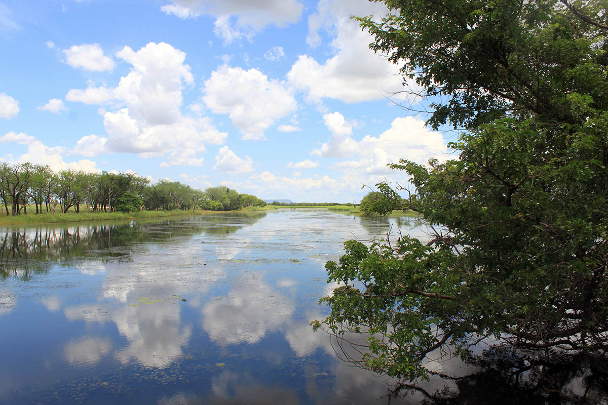 Перри Лагун, image of landscape/habitat.