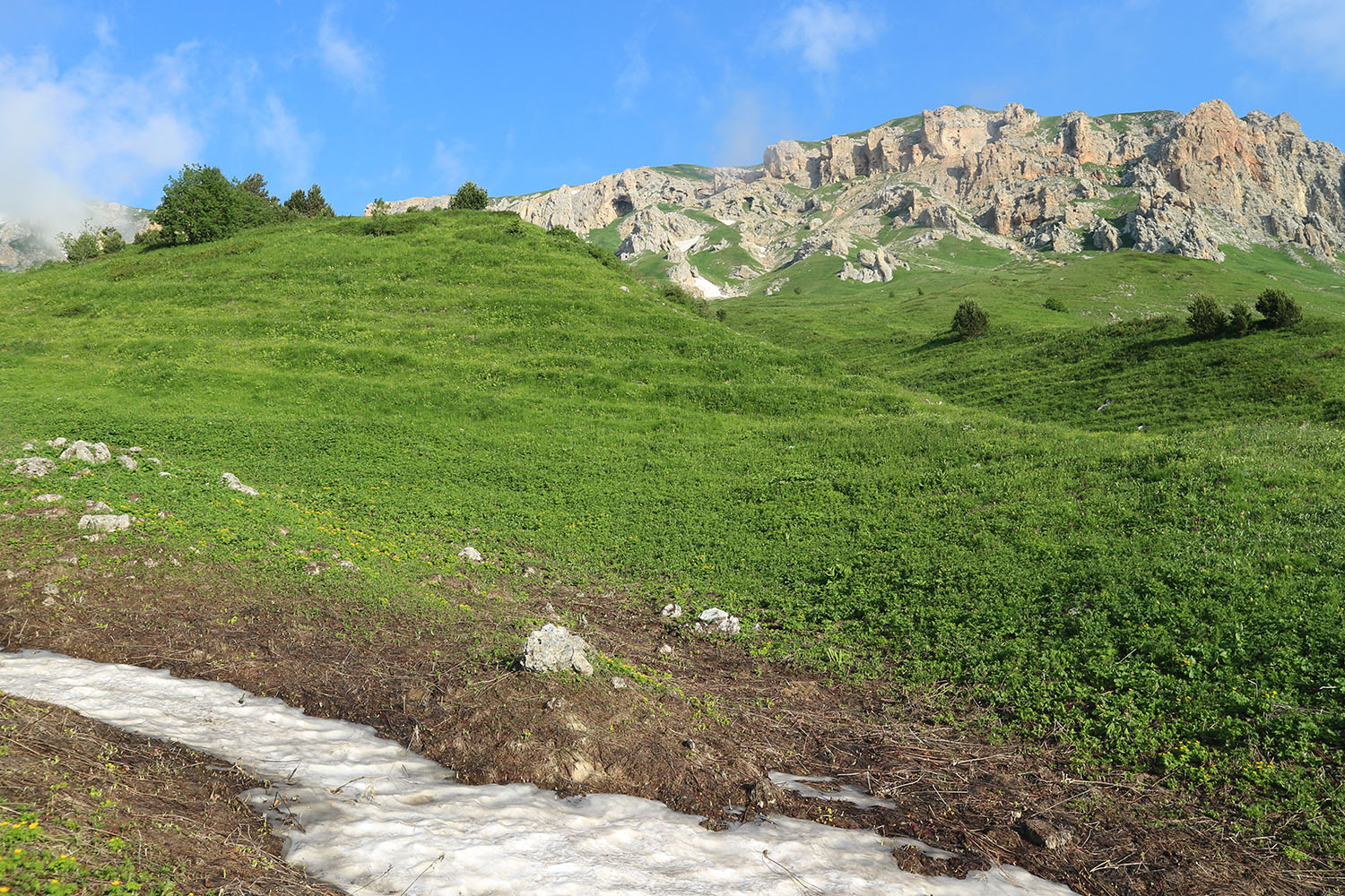 Узуруб, image of landscape/habitat.