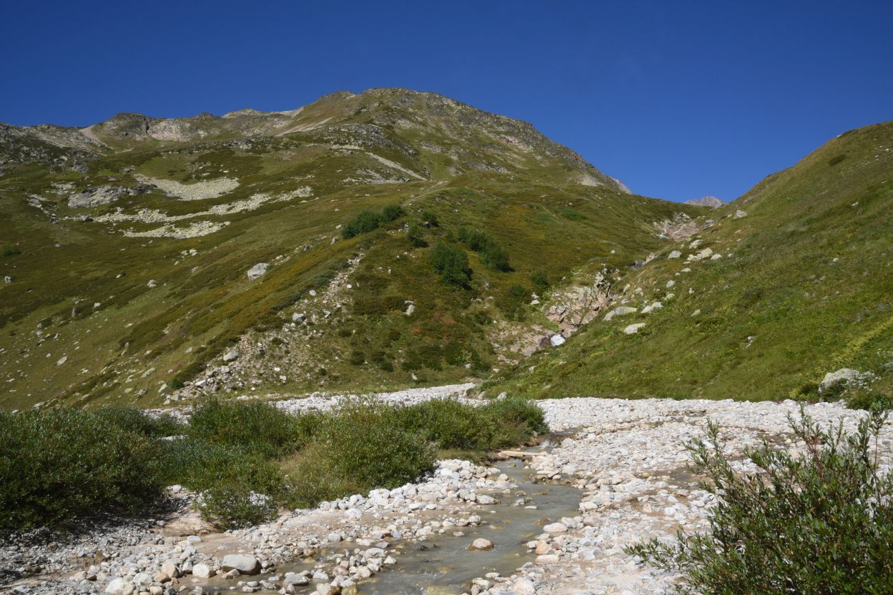 Окрестности озера Донгуз-Орун, image of landscape/habitat.