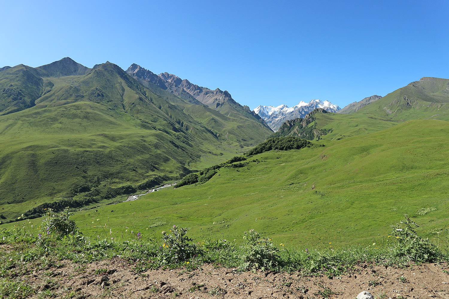 Перевал Северный Курноят, image of landscape/habitat.