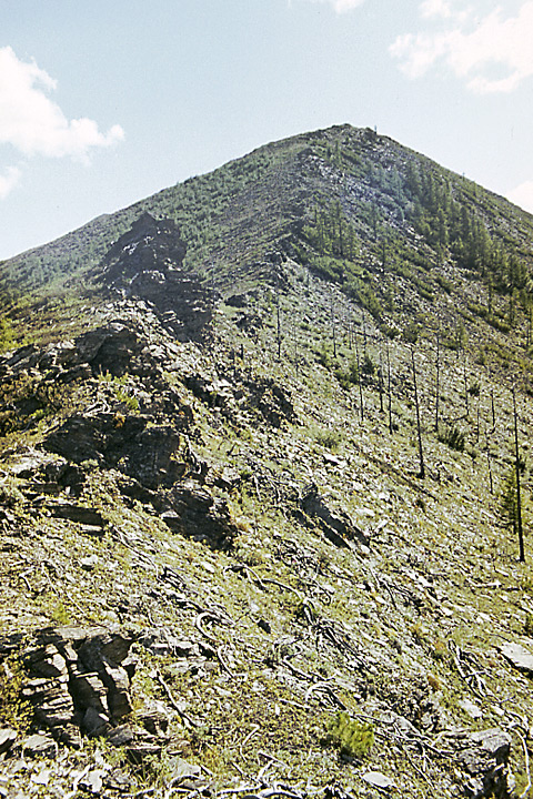 Устье Ольчана, image of landscape/habitat.