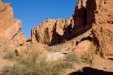 Image of landscape