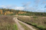 Залежь у Тиханово, image of landscape/habitat.