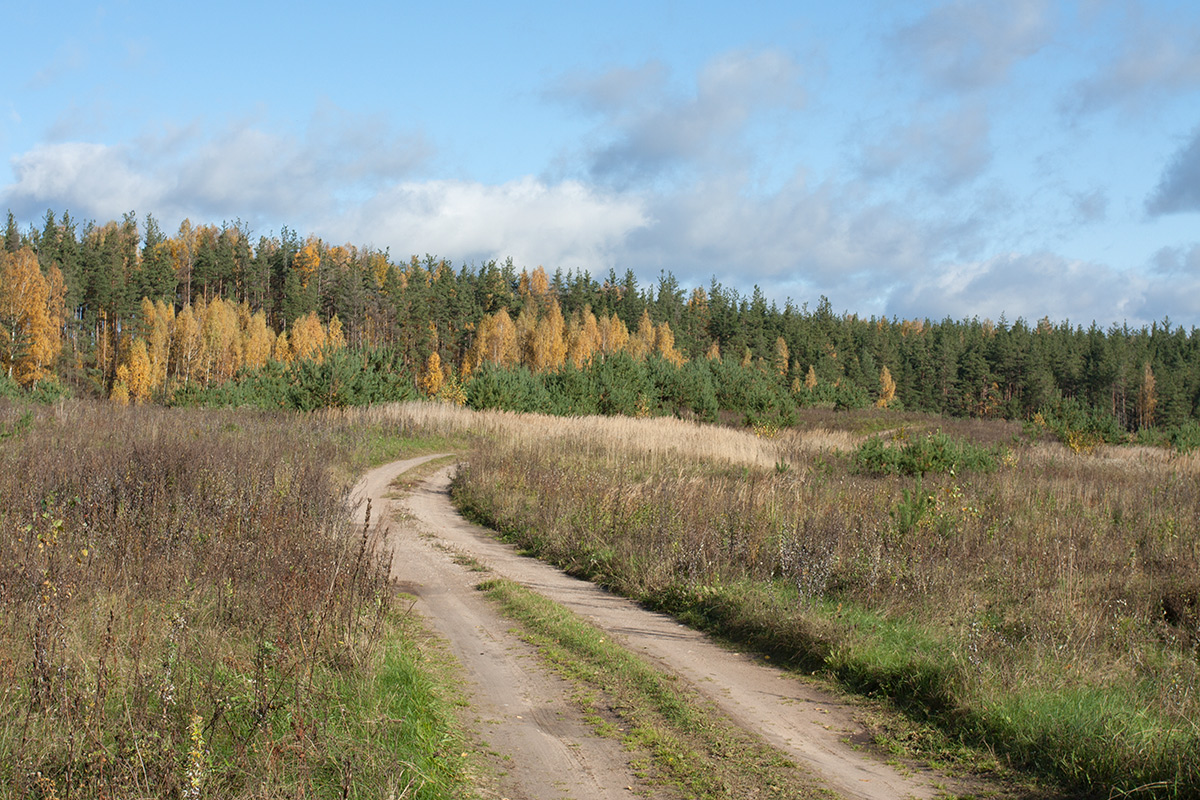 Залежь у Тиханово, image of landscape/habitat.
