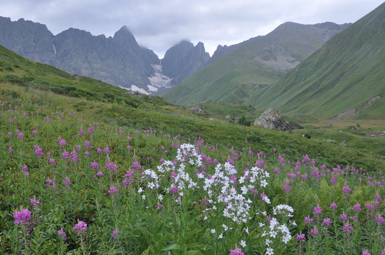 Долина реки Вулелаури, image of landscape/habitat.