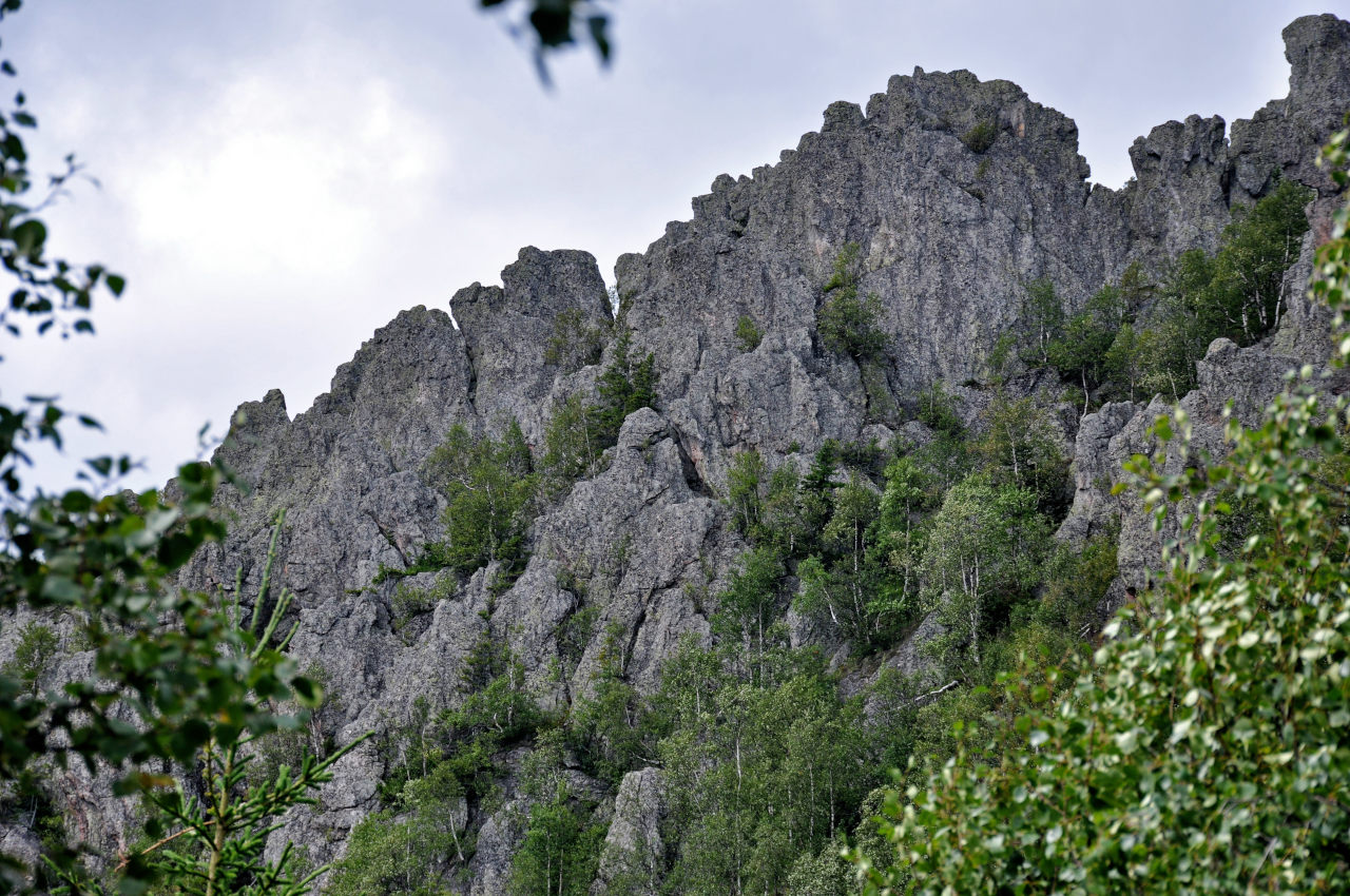 Двуглавая сопка, image of landscape/habitat.