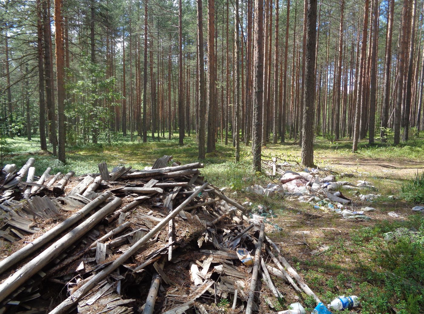 Свалка в лесу, image of landscape/habitat.