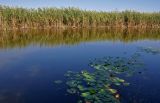 Окрестности села Воскресеновка, image of landscape/habitat.