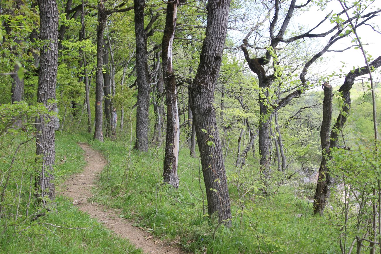 Хребет Уна-Коз, image of landscape/habitat.