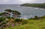Image of landscape