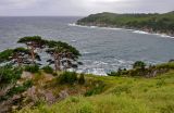 Бухта Тёплая и окрестности, image of landscape/habitat.