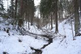 Овраг Волчий, image of landscape/habitat.