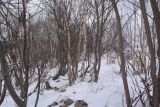 Image of landscape
