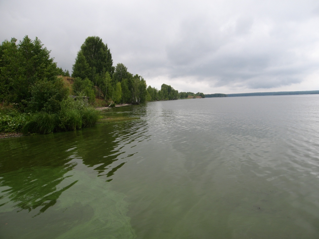 Устье реки Нёмда, image of landscape/habitat.