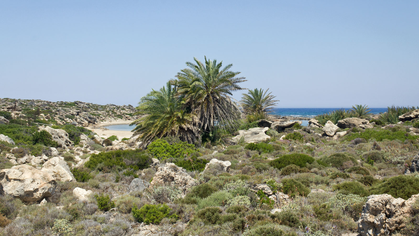 Хризоскалитисса, image of landscape/habitat.