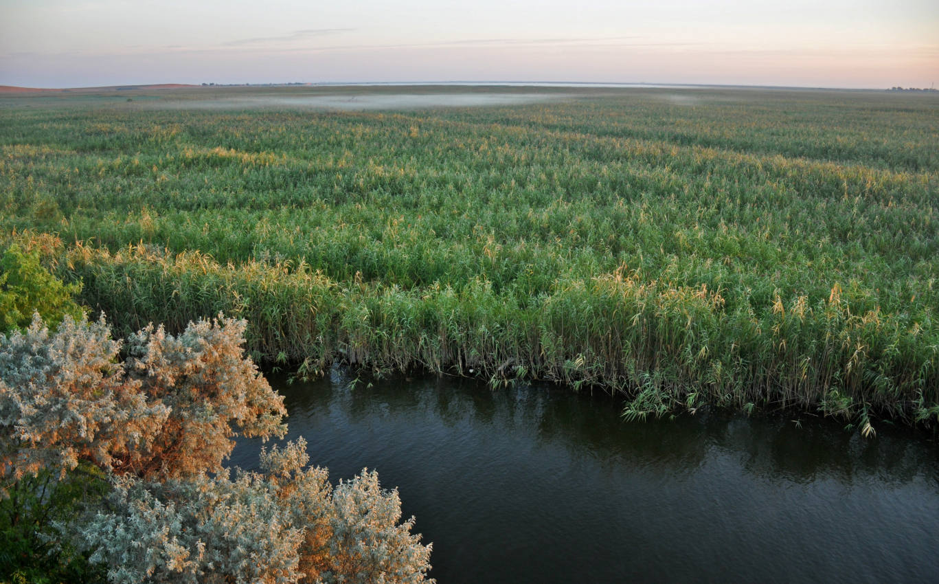 Окрестности села Воскресеновка, image of landscape/habitat.