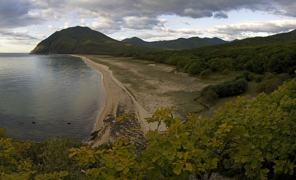 Тачингоуза, image of landscape/habitat.