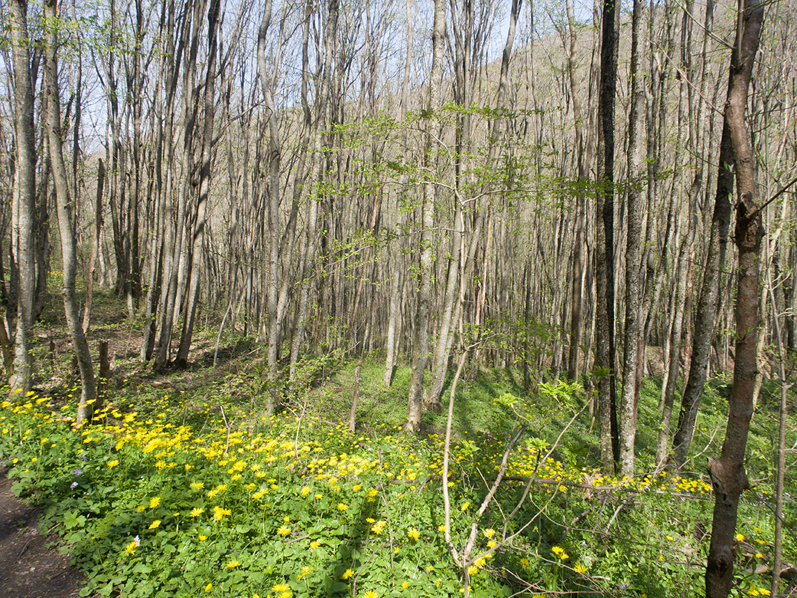 Крымская-Долгая, image of landscape/habitat.