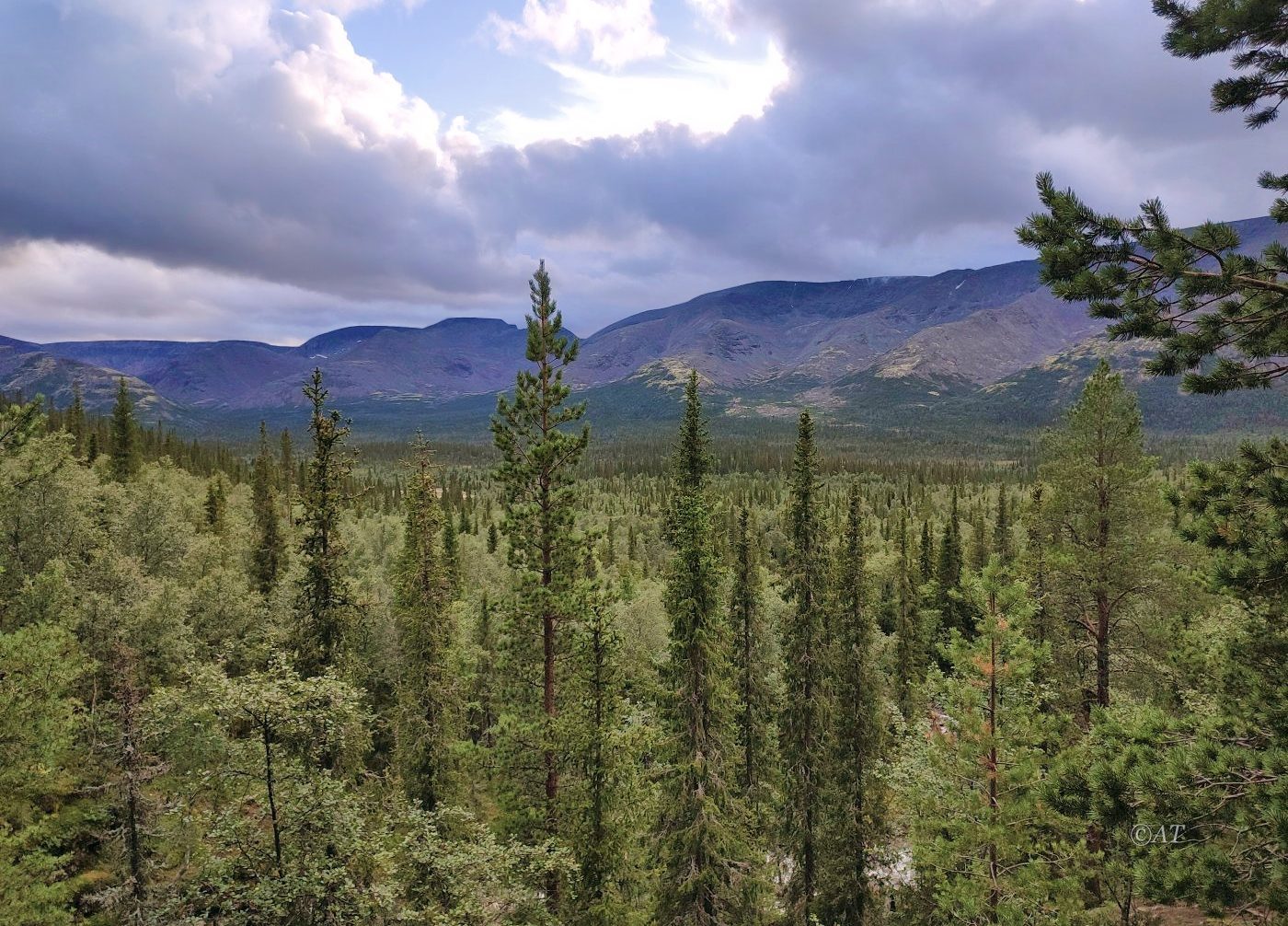 Долина реки Кунийок, image of landscape/habitat.