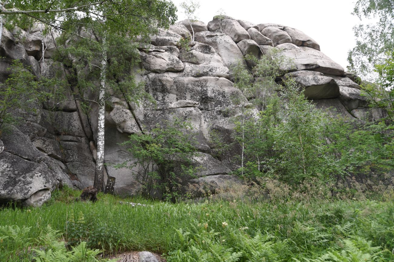Гора Аракуль, image of landscape/habitat.