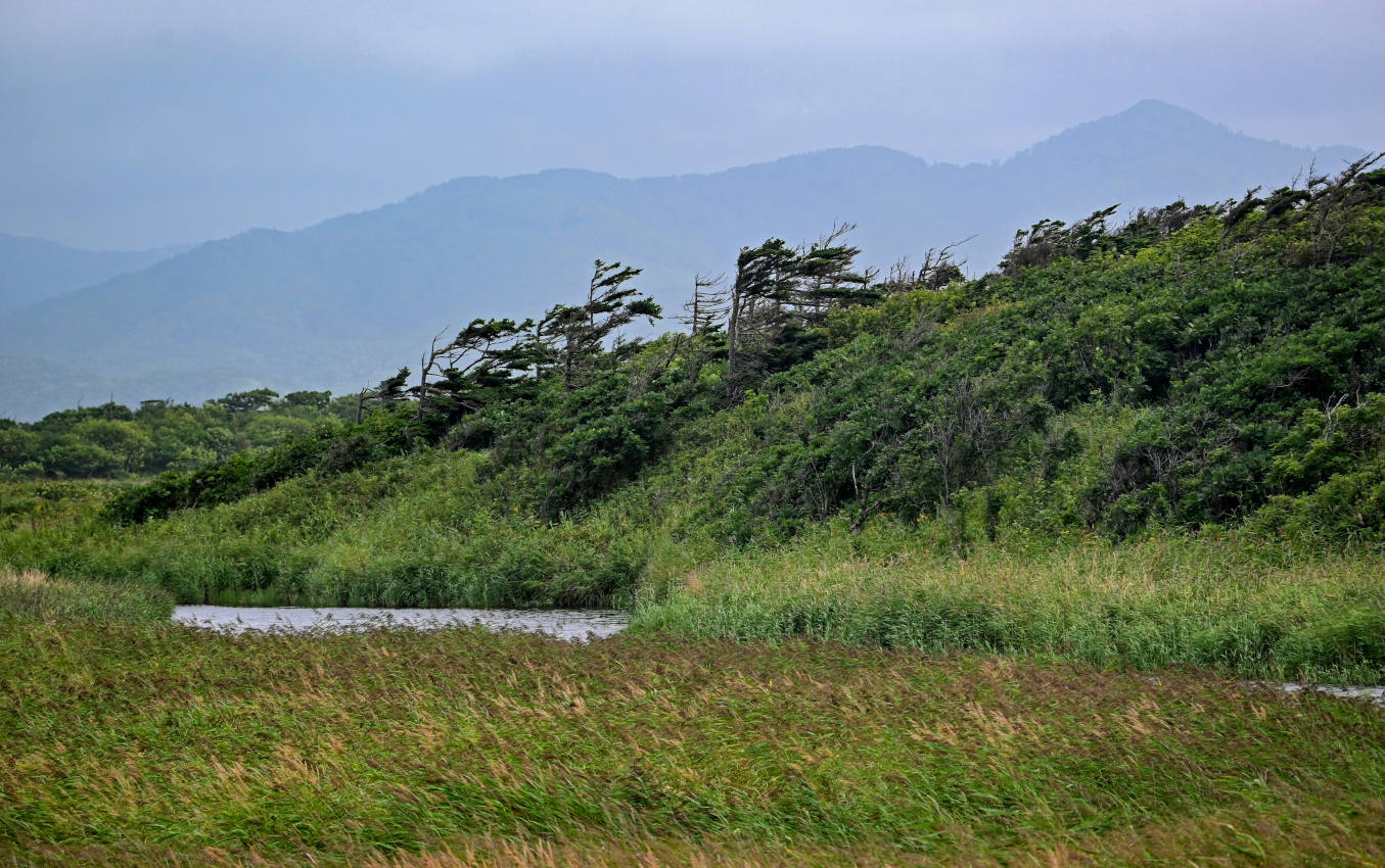 Мыс Слепиковского, image of landscape/habitat.