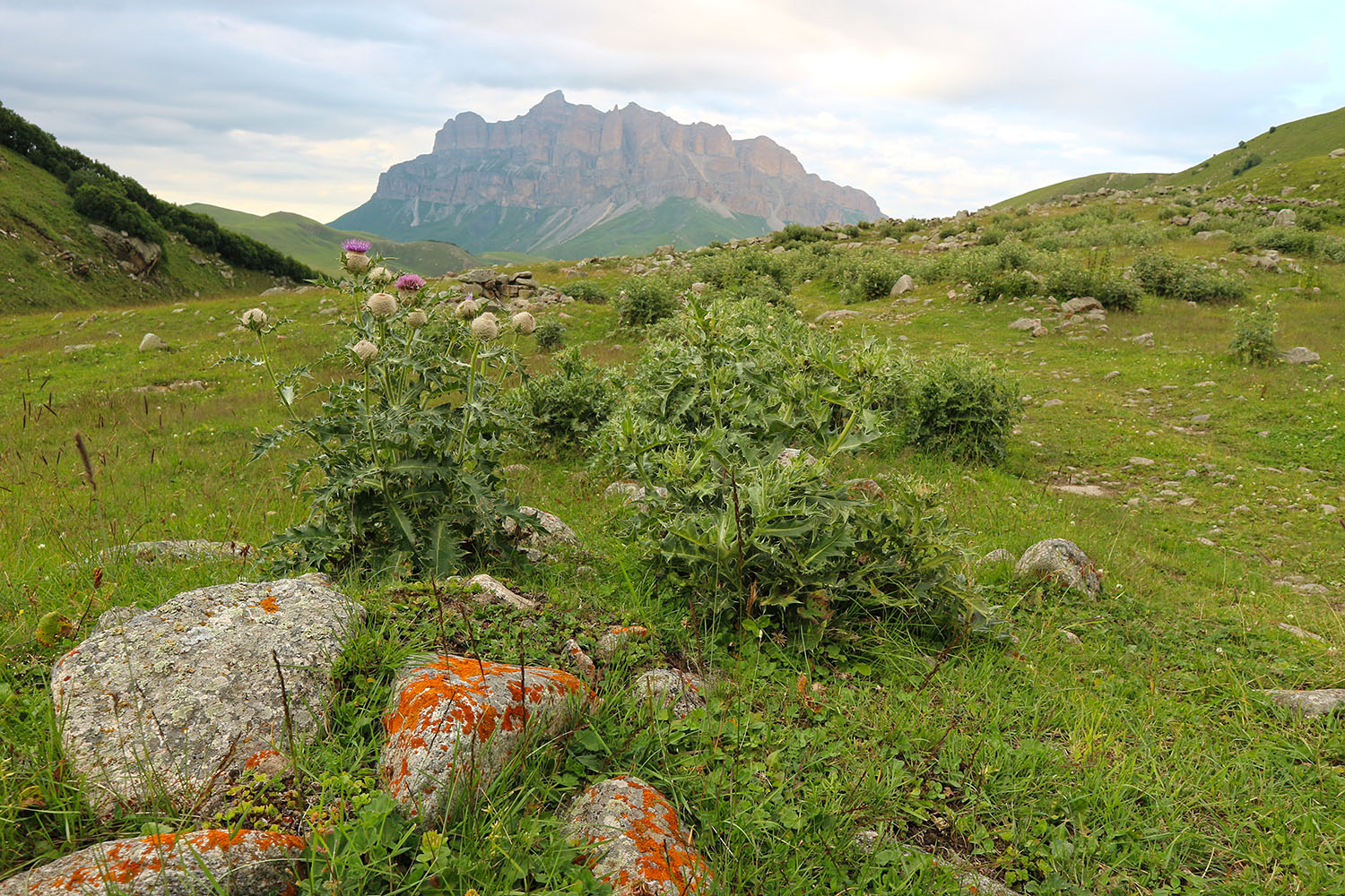 Псыгансу в верхнем течении, image of landscape/habitat.