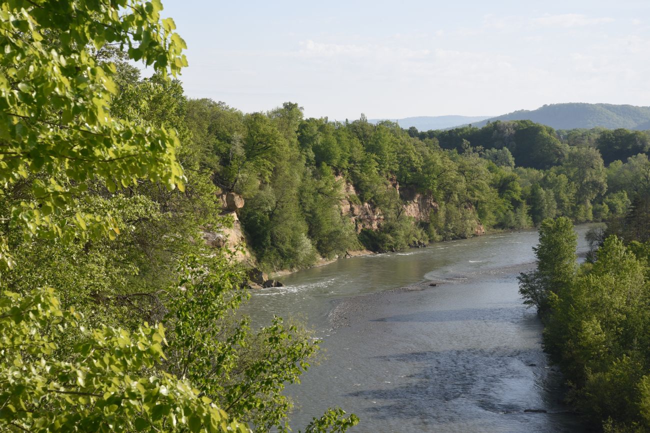 Урочище Бокши, image of landscape/habitat.