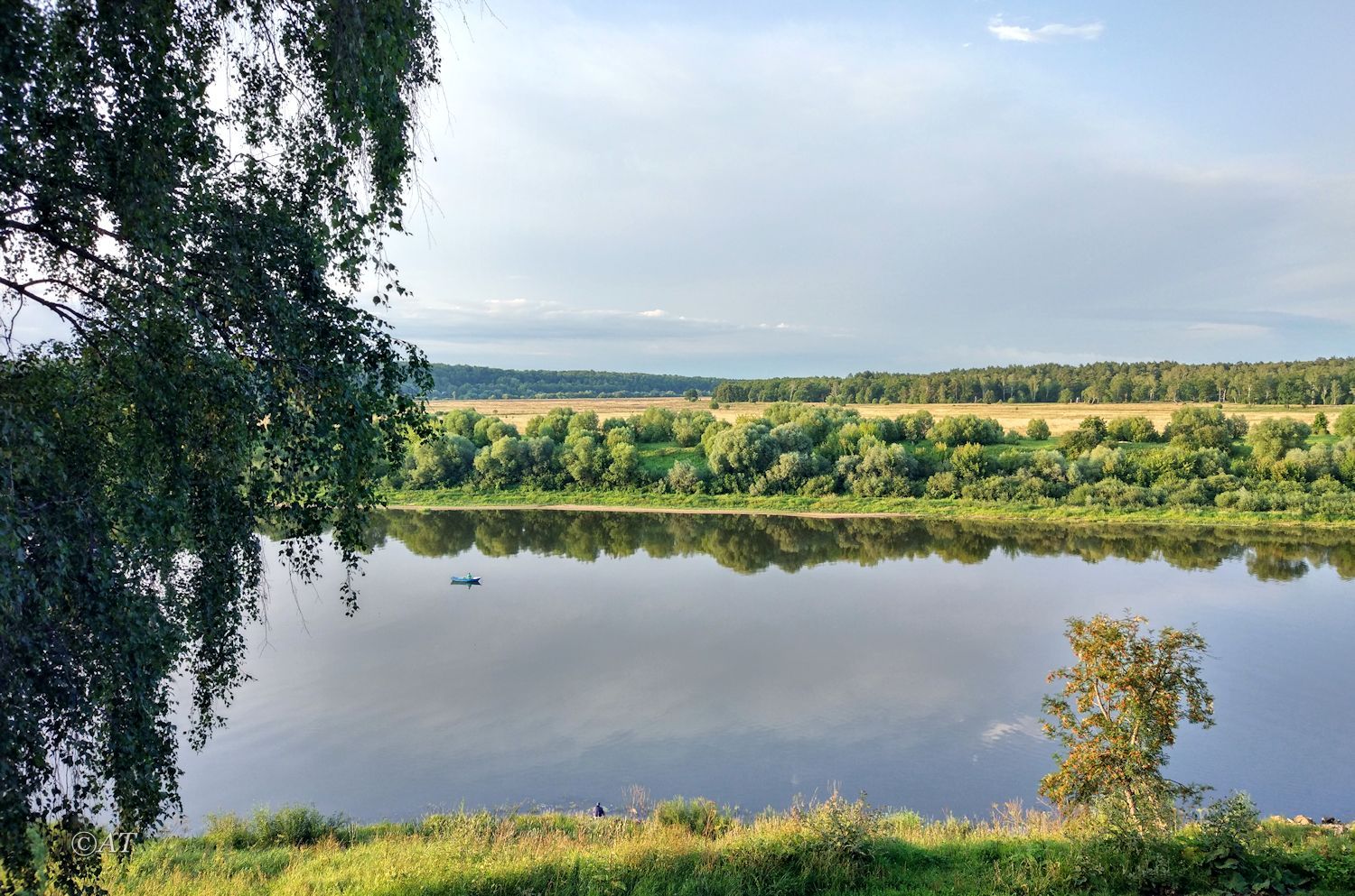 Тарусский луг, image of landscape/habitat.