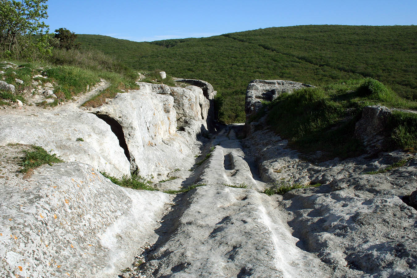 Пещерный город Эски-Кермен, image of landscape/habitat.