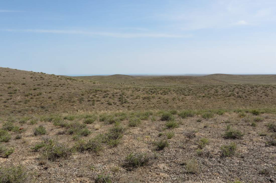 Бугор Жаксыбулак, image of landscape/habitat.