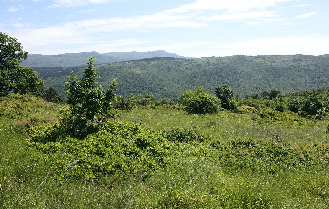 Маршрут Sočerga - Dvori, изображение ландшафта.