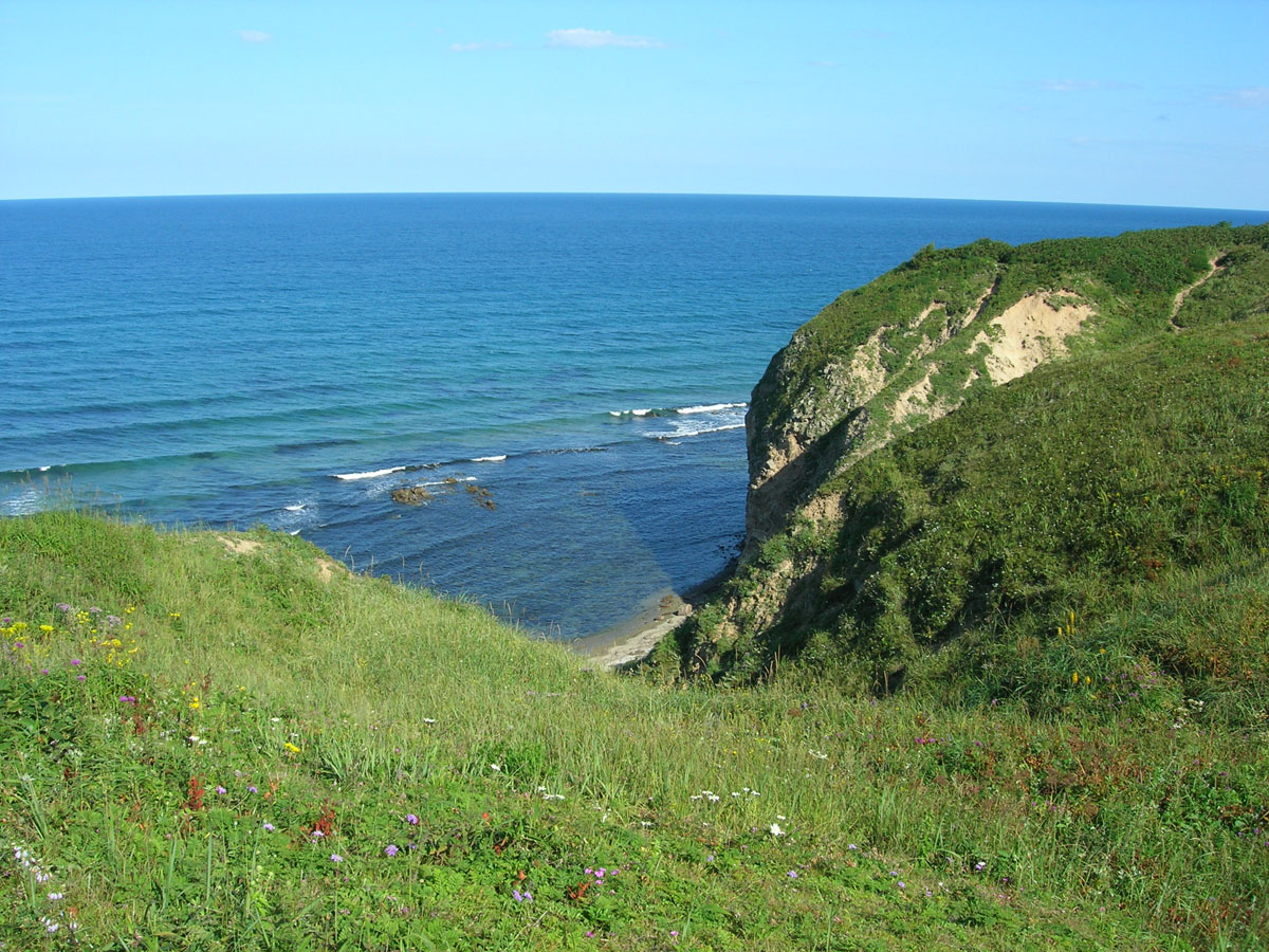 Окрестности бухты Зеркальной, image of landscape/habitat.