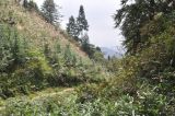 Image of landscape