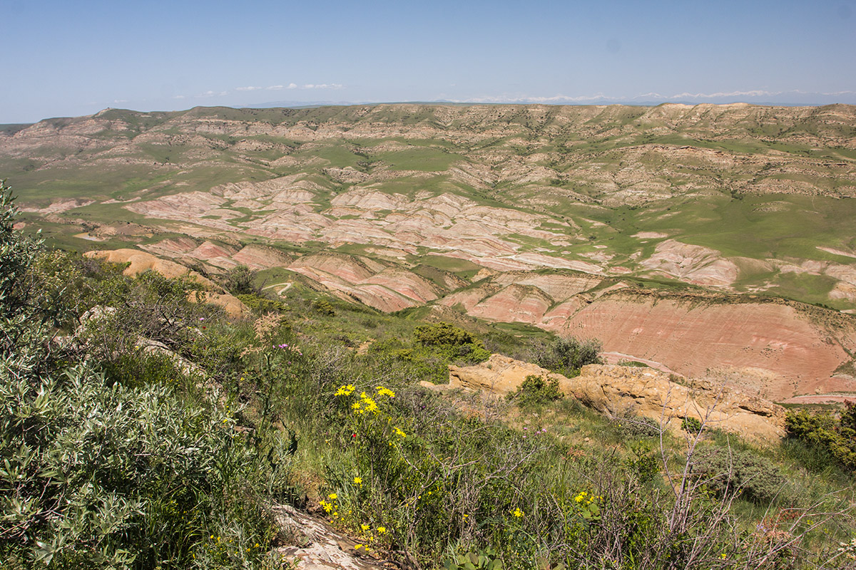 Давид-Гареджа, image of landscape/habitat.