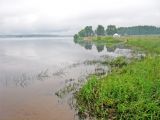 Рыбинское водохранилище, изображение ландшафта.