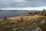Image of landscape
