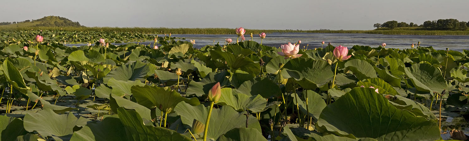 Озеро Лотос, image of landscape/habitat.