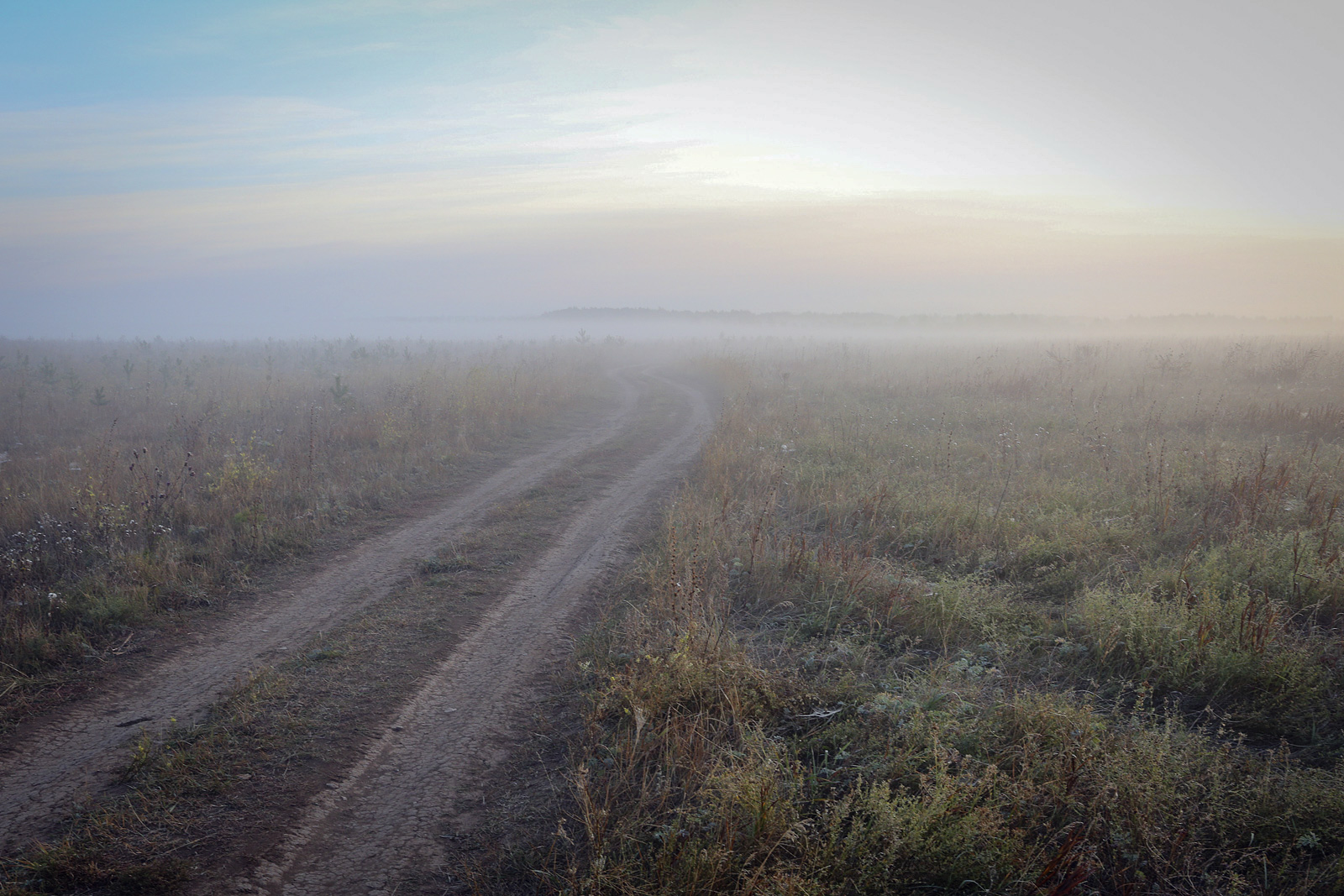 Окрестности села Красный Бор, image of landscape/habitat.