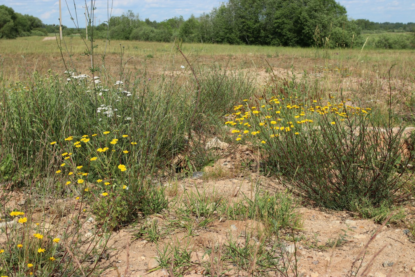 Езерище и окрестности, image of landscape/habitat.