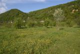 Image of landscape