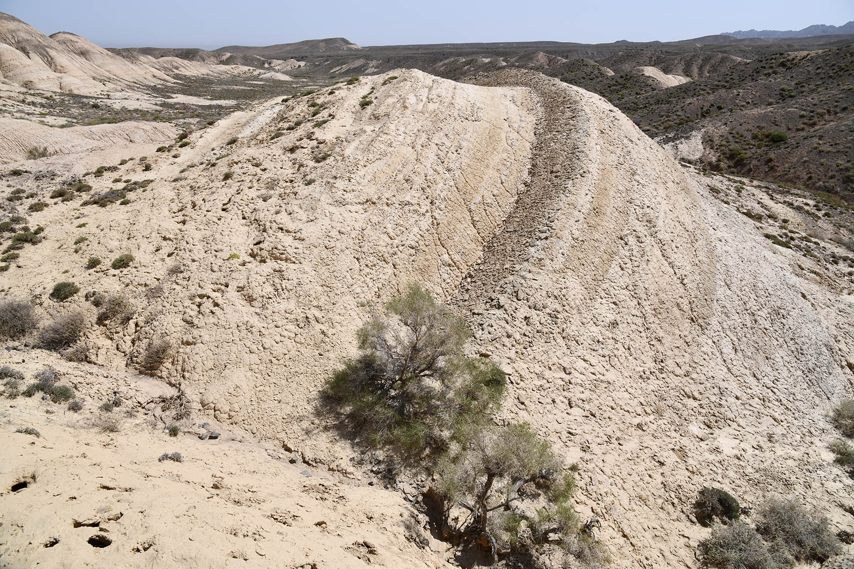 Бала-Богуты, image of landscape/habitat.