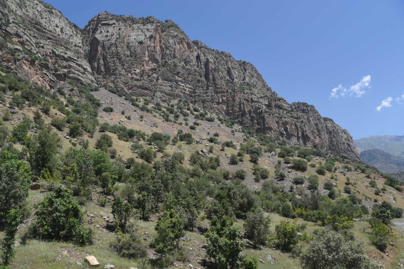 Кёпрюлю, image of landscape/habitat.