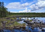 Image of landscape