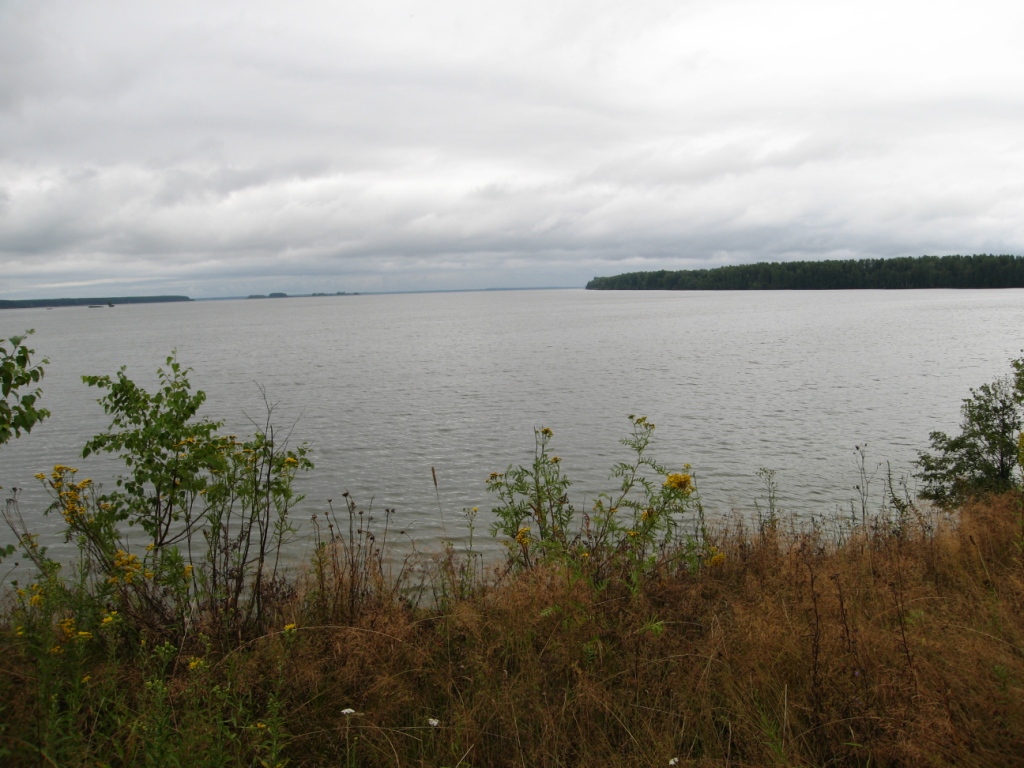 Устье реки Нёмда, image of landscape/habitat.