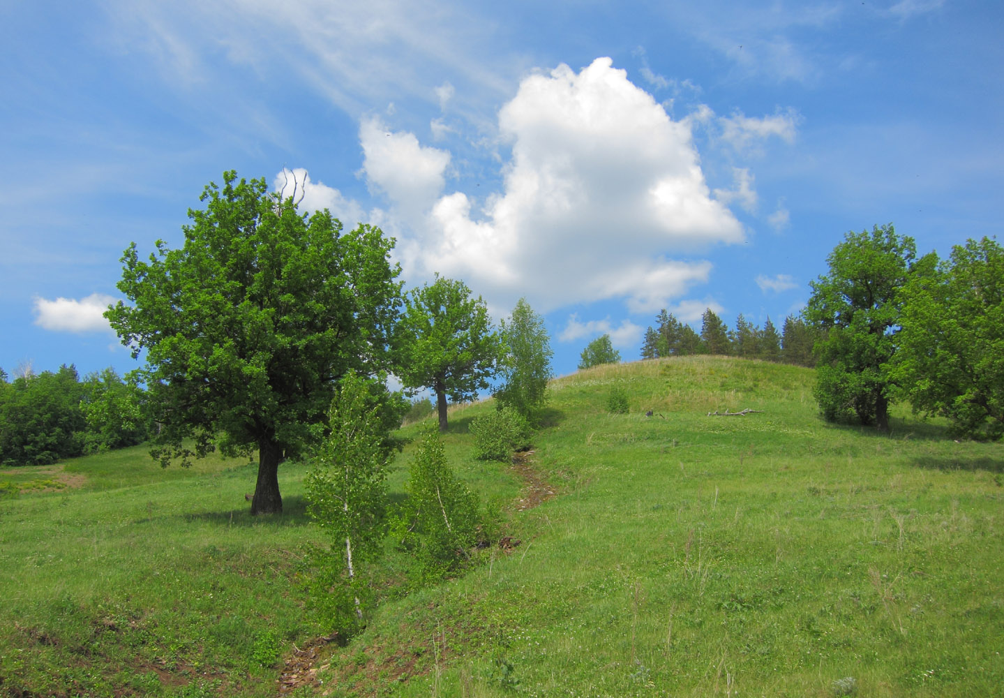 Васькино, изображение ландшафта.