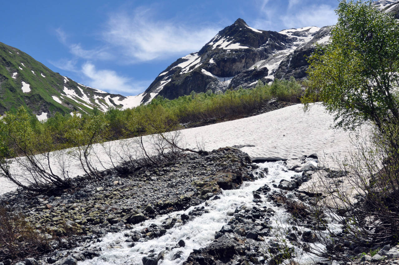 Долина реки София, image of landscape/habitat.