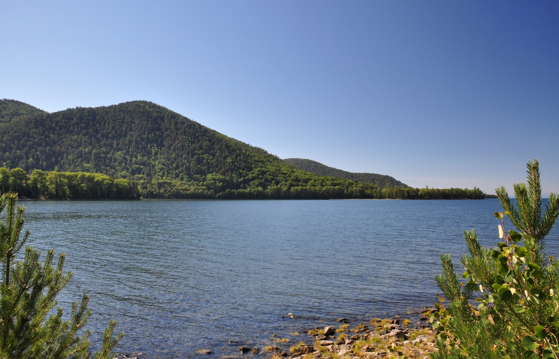 Максимиха, image of landscape/habitat.