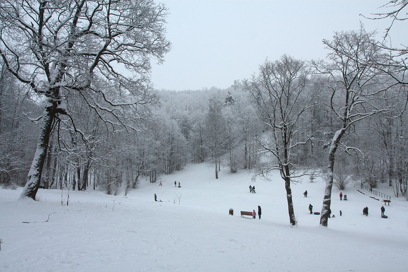 Дудергофские высоты, image of landscape/habitat.